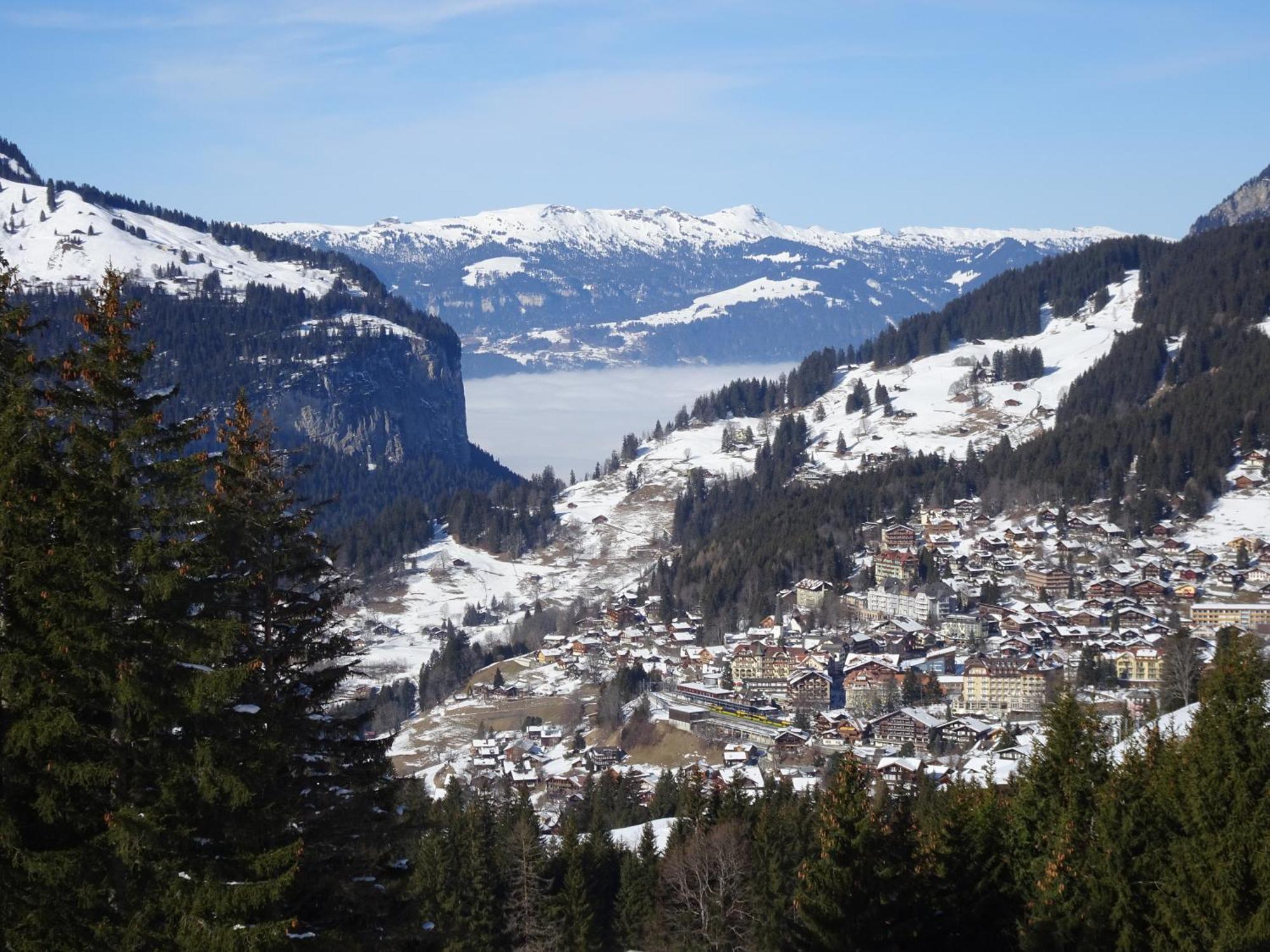 Chalet Alpina Gyger Wengen Exterior photo